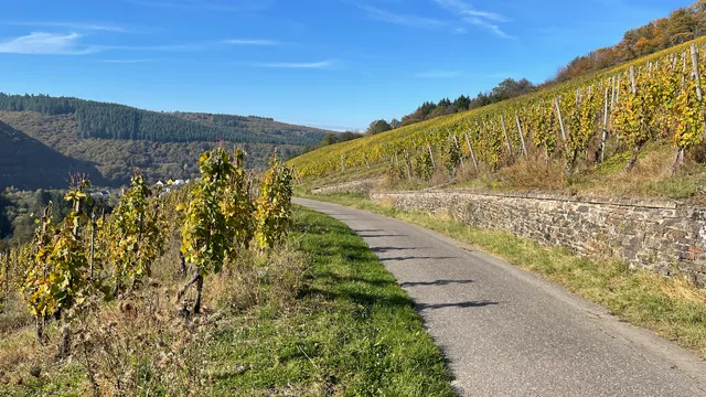Ferienwohnung Kleinert
