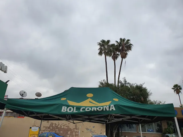 Bol corona agua caliente