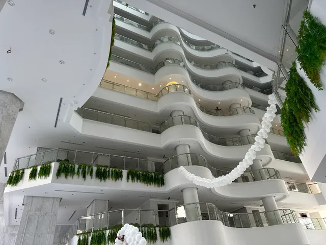 Al- Kafees Al-Katary