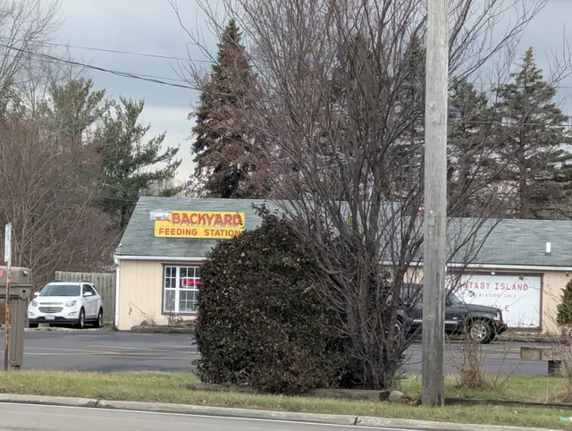 Backyar​d Feeding Stati​on​​​​