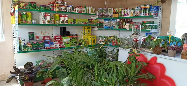 Vivero Los Cigarrales de Cobisa