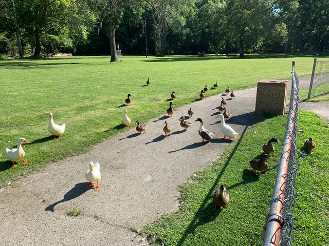 Duck Park Disc Golf Course