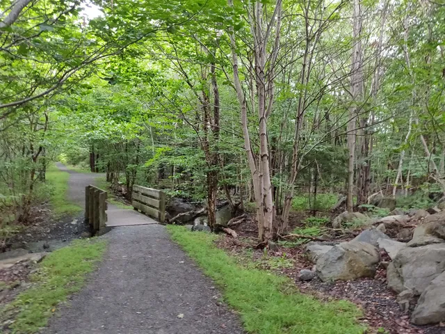 Little Belchers Pond Park