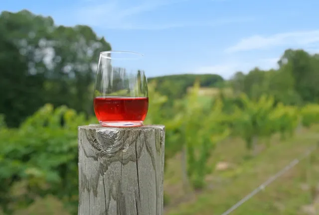 Pleasant Valley Farm and Vineyard