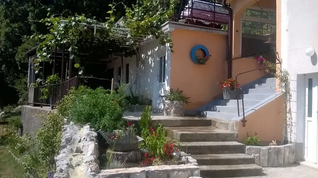 Oaza Mira - Ledenice