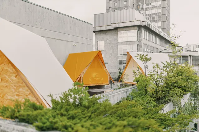 ibis Styles - The Fuzzy Log