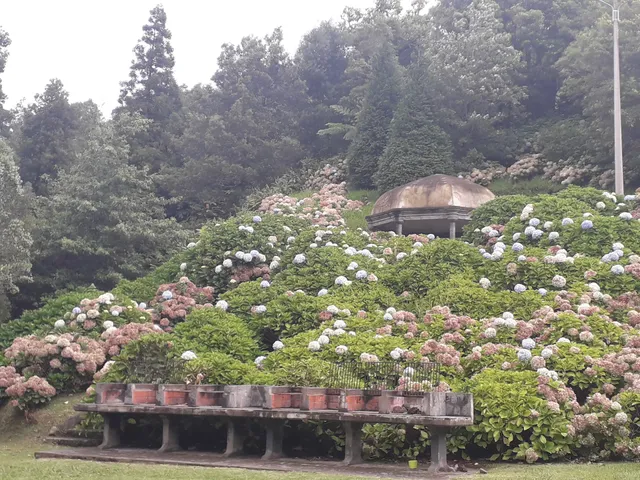 Parque de Merendas dos Tambores