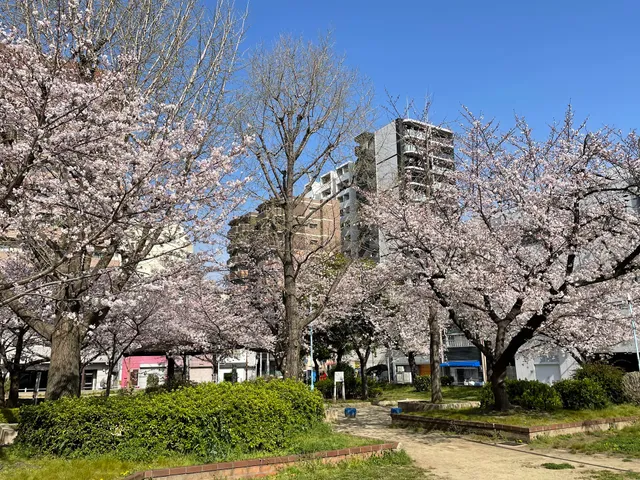 Kamomemachi Park