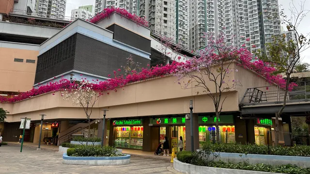 Shui Chuen O Plaza