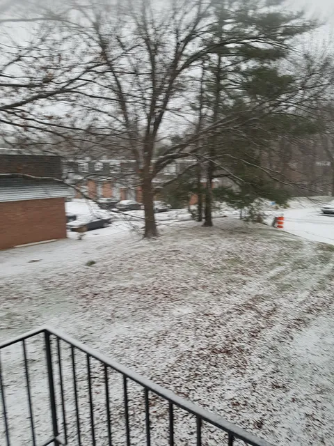 Lake of the Woods Plaza