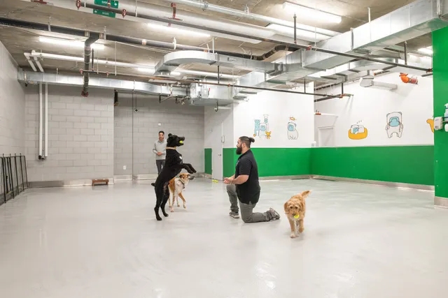 Throw Me A Bone Inc. / Dog Daycare, Grooming and Boarding