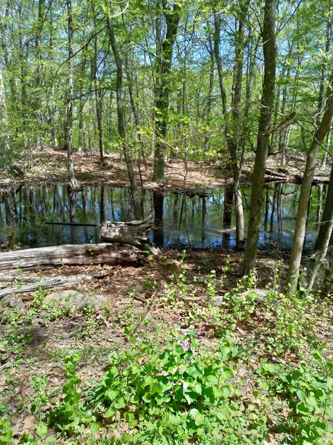South Mountain County Park Trailhead