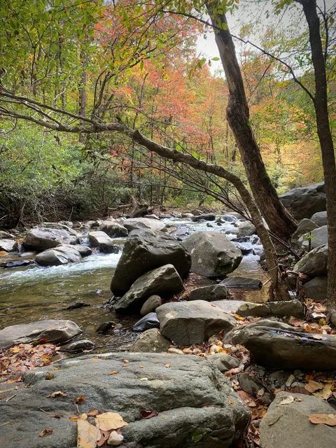 Holly Creek Picnic Area