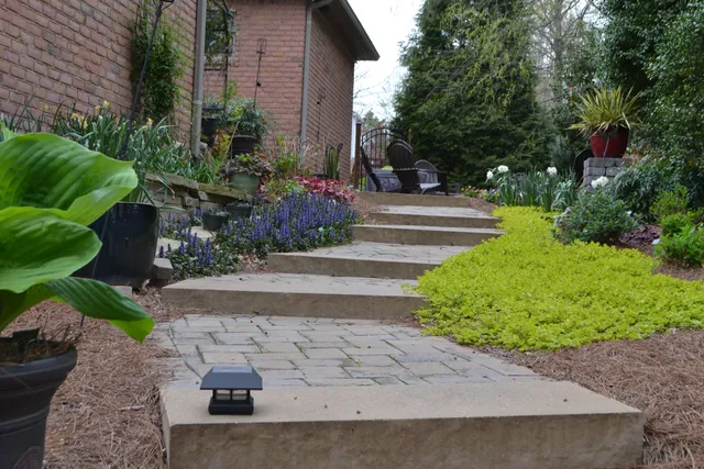 Milosi - Hendersonville