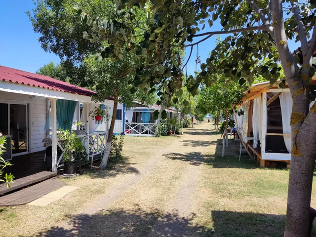 Kamping Oazis (If Favorit OOD)