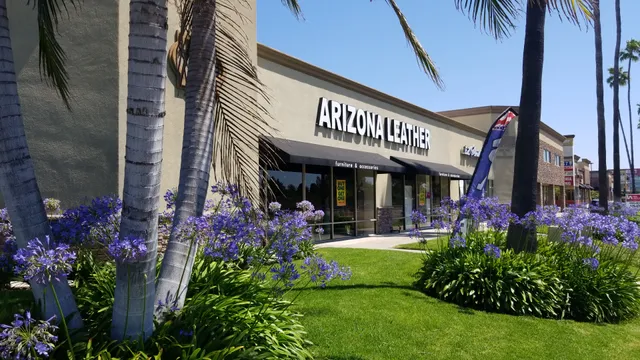 Arizona Leather Interiors