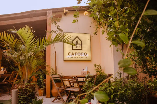 CAFOFO - Café com Plantas