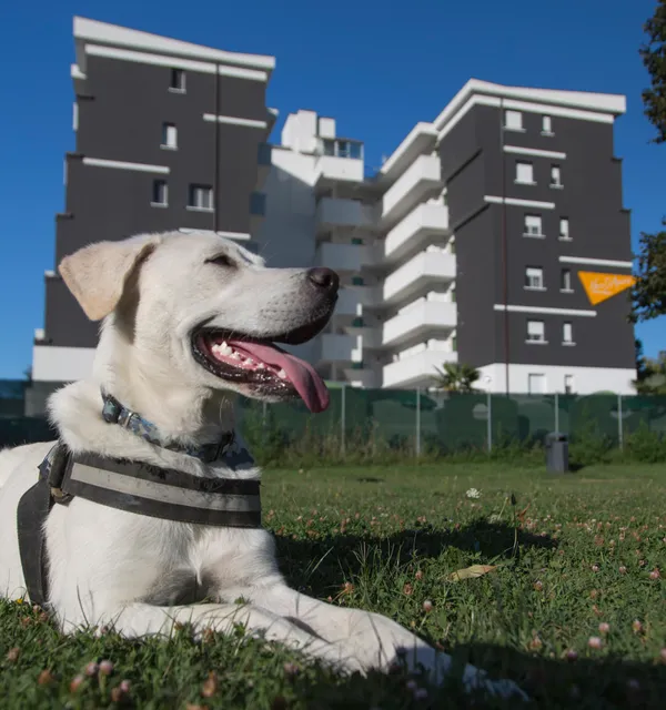 Nero D'Avorio Appartamenti