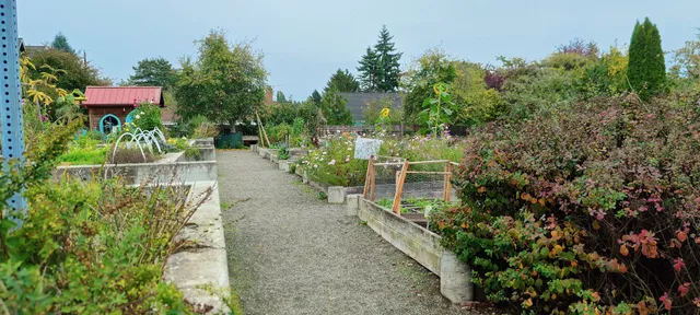 Kirke Park P-Patch Community Garden