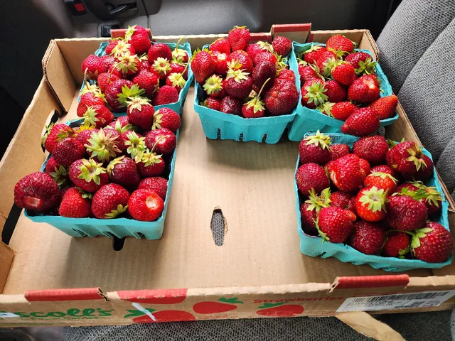 Stevenson Farm Stand