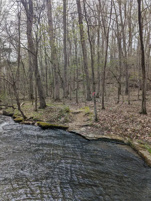 Montgomery Bell MTB trail
