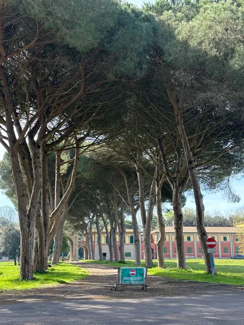 Parcheggio / Area barbecue