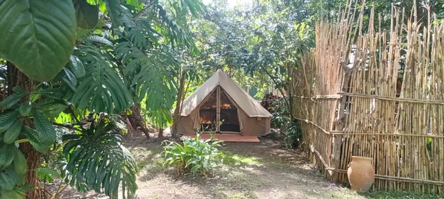 Cocuyo Glamping