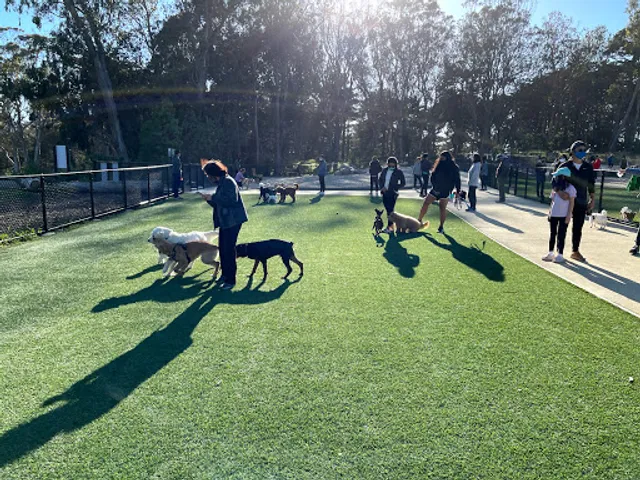 Golden Gate Park Dog Training Area