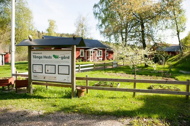 Tånga Heds Camping, Vandrarhem och Evenemang