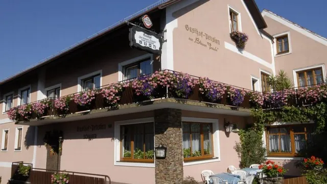 Frühstückspension zur blauen Traube