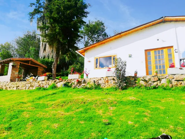 Glamping Chinu& cabaña con vista al lago