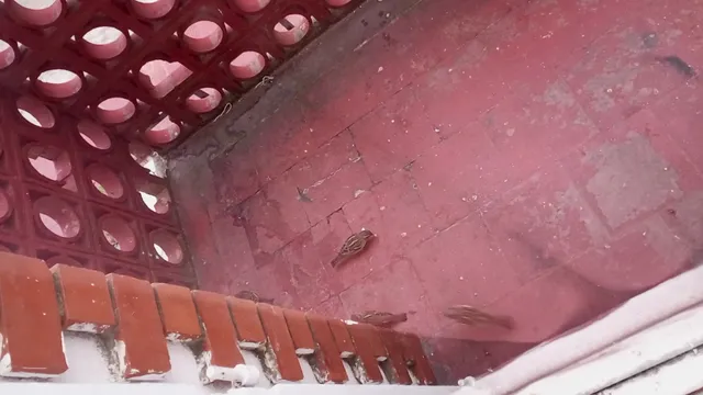 Planet Punta Del Este Hostel