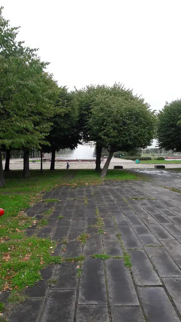 photo-2