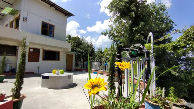 Himalaya View Homestay Ranikhet