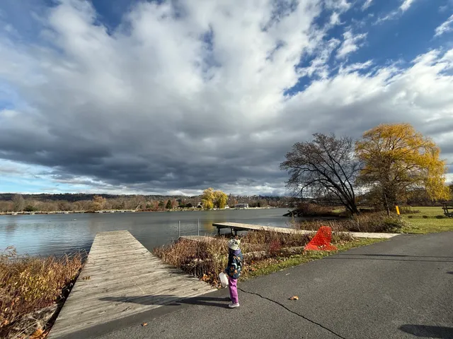 Cass Park, Rink, and Pool