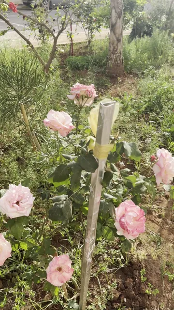 Résidence Castiglione