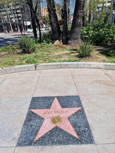 Elvis Presley's Star