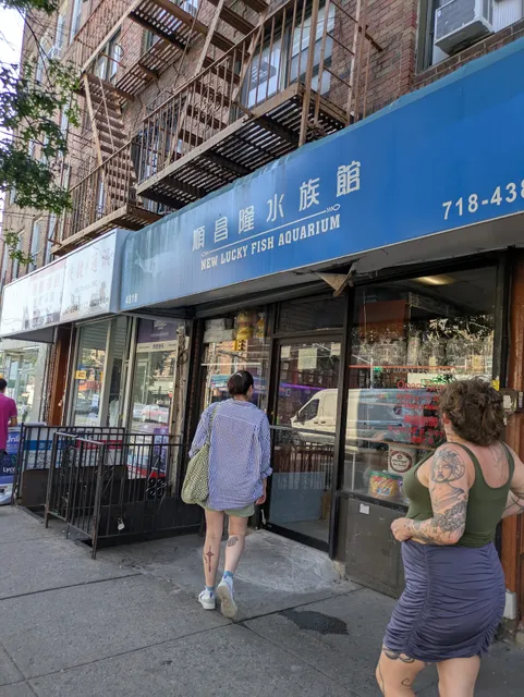 New Lucky Fish Aquarium & Pet Supply