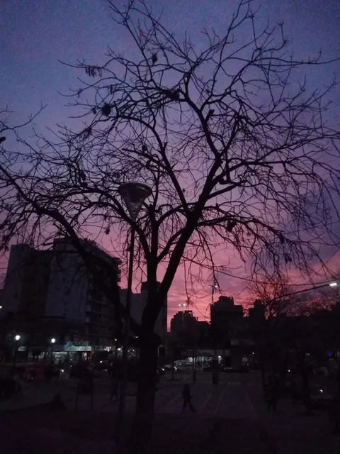 Skatepark Remedios De Escalada