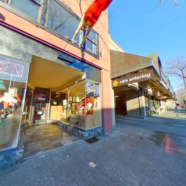 Cute But Crazy Socks