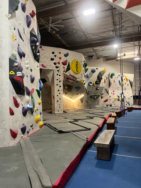 Aesthetic Climbing Gym