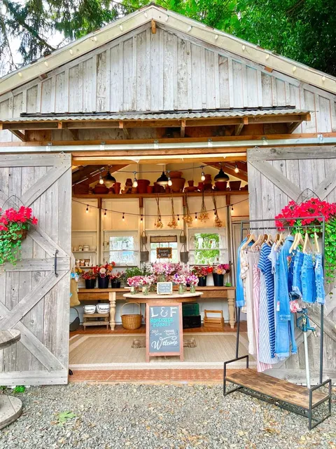 Lavender and fir roadside market