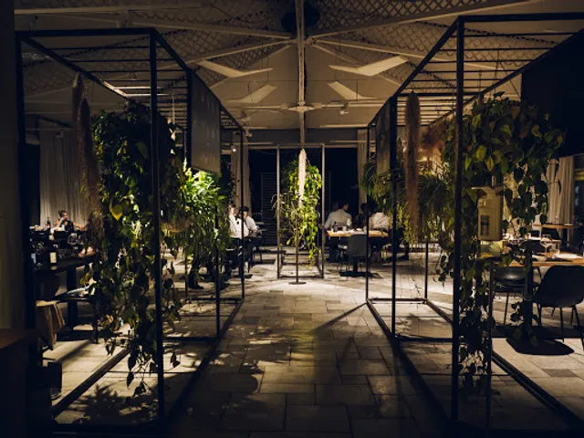 Varrone - Pietrasanta