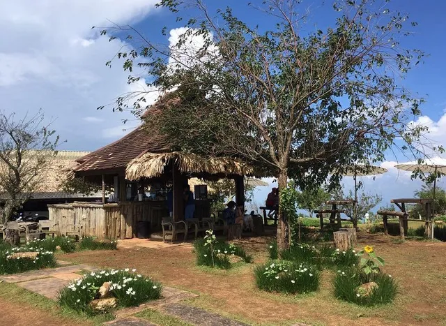 Bunk Boutique Chiangmai -Hostel&Travel Service