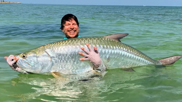 Shallow Tails Guide Service, Inc.