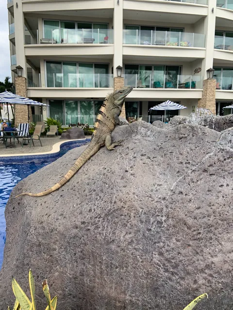 Best in Jaco Condos at Diamante Del Sol