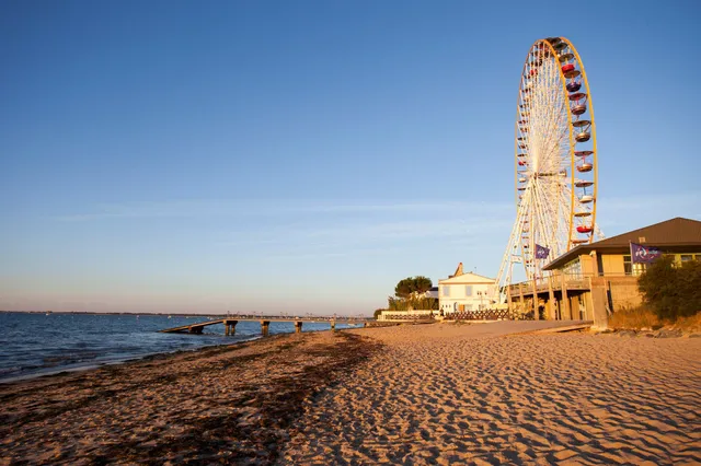 Sous les Pins (by Popinns)