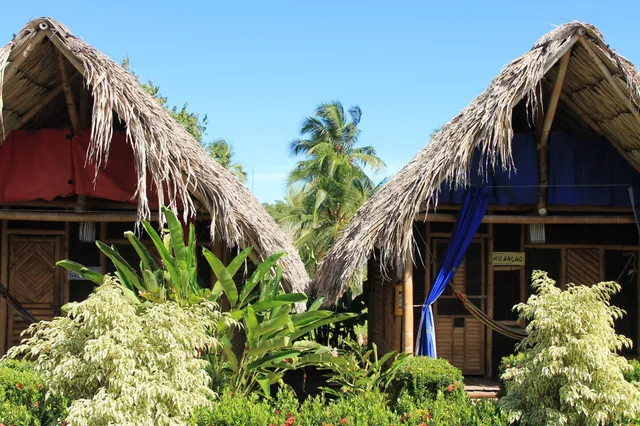 Tiki Hut Hostel Palomino