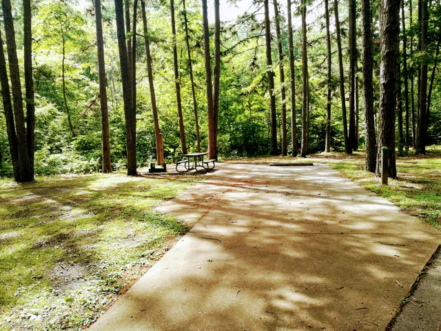 Hawn State Park Campground