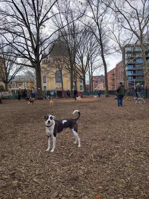 McCarren Park Dog Run